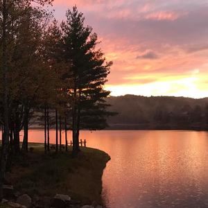 Meet your Posher, Suzanne